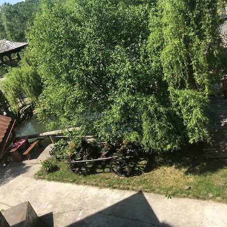Pensiune Pastravarie La Pintea Haiducu Desesti Luaran gambar