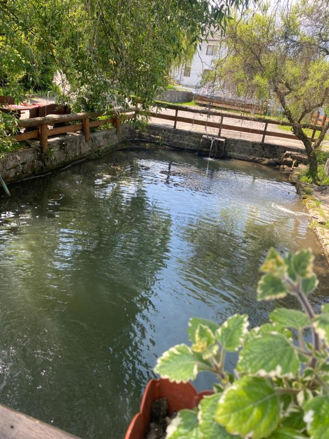 Pensiune Pastravarie La Pintea Haiducu Desesti Luaran gambar